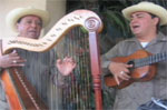 cabo harp